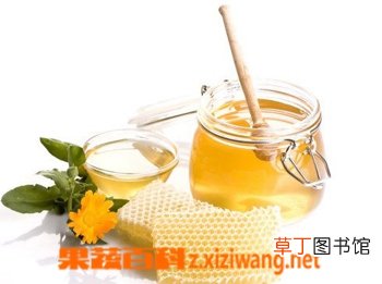 蜂蜜加醋的作用和功效