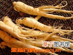 人参的功效与作用及食用方法