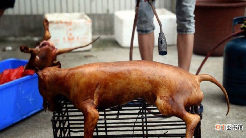 哪个民族不吃狗肉
