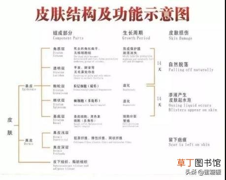 以前正常突然时间变短 为什么男人时间短