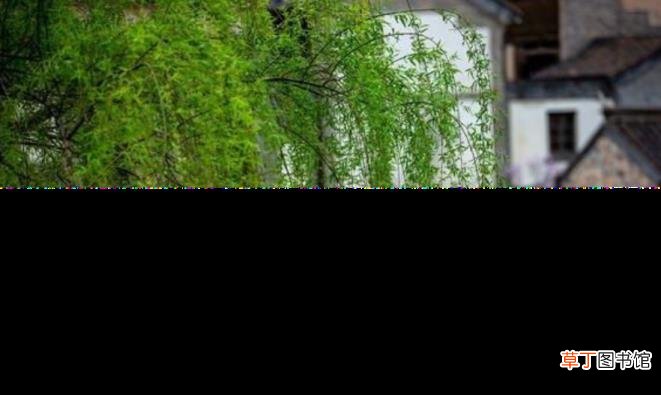 春节也叫上元节吗 为什么叫上元节