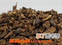 百部的功效与作用