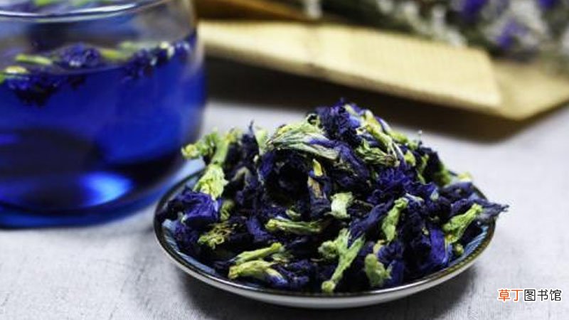 蓝蝴蝶花茶的禁忌是什么