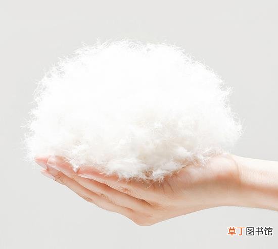 羽绒服保暖原理是什么