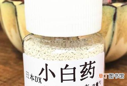 小白药怎么用