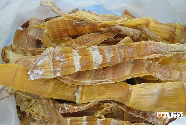 春笋和冬笋有何不同 冬笋和春笋的区别