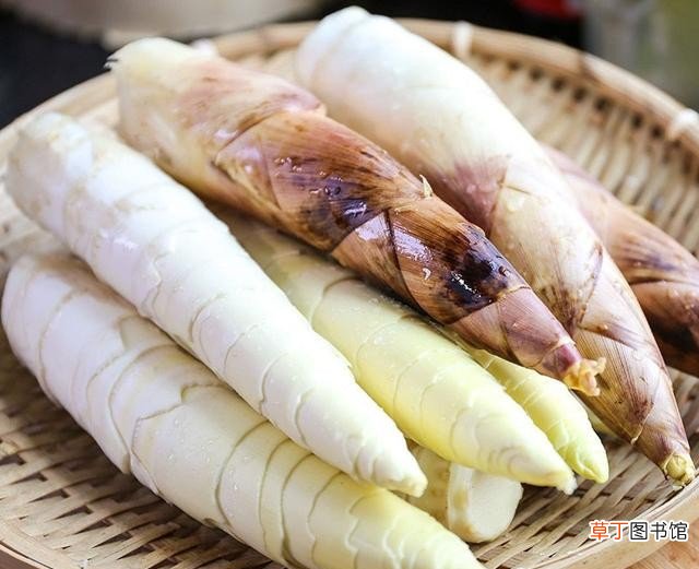 春笋和冬笋有何不同 冬笋和春笋的区别