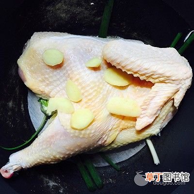 口水鸡的做法 口水鸡是哪里的菜