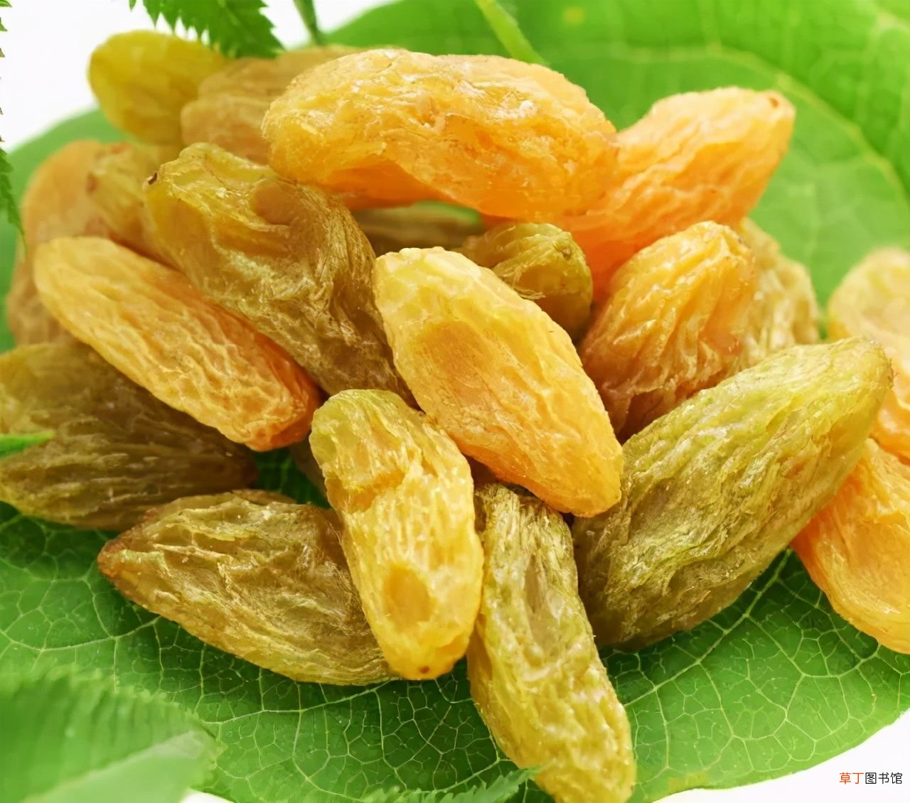 不能错过的新疆十大干果 新疆干果有哪些