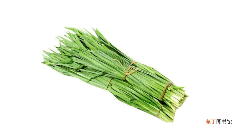 韭菜的禁忌