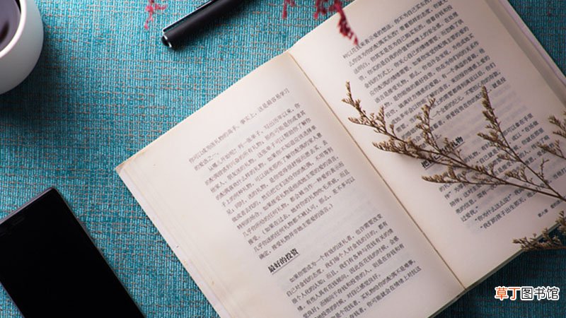 人血馒头是讽刺什么