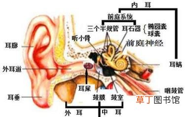 氧宜多硅藻泥 为什么硅藻泥