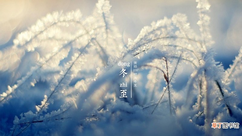 冬至广东人吃什么