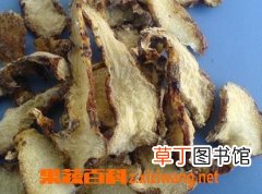 白芨的功效与作用