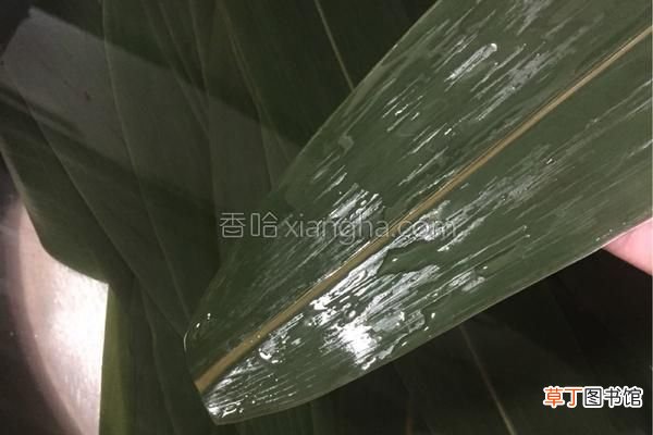 在家就能包出肥而不腻的鲜肉粽 鲜肉粽子的做法