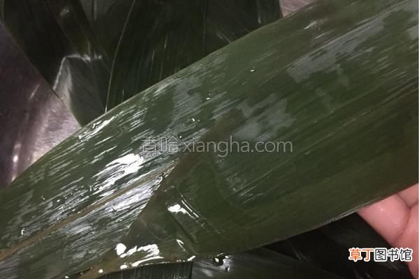 在家就能包出肥而不腻的鲜肉粽 鲜肉粽子的做法