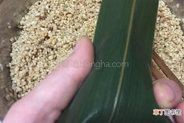 在家就能包出肥而不腻的鲜肉粽 鲜肉粽子的做法