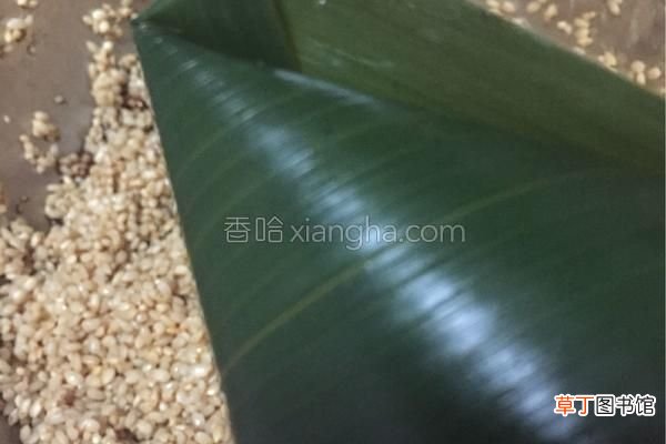 在家就能包出肥而不腻的鲜肉粽 鲜肉粽子的做法