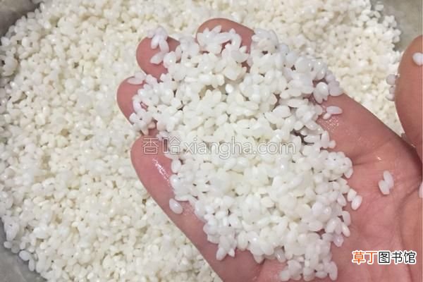 在家就能包出肥而不腻的鲜肉粽 鲜肉粽子的做法