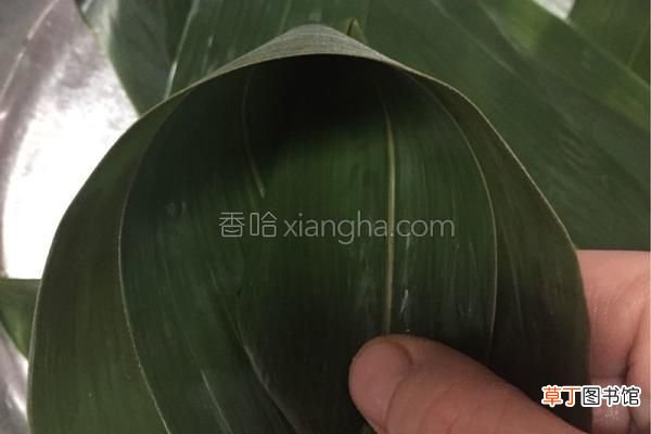 在家就能包出肥而不腻的鲜肉粽 鲜肉粽子的做法