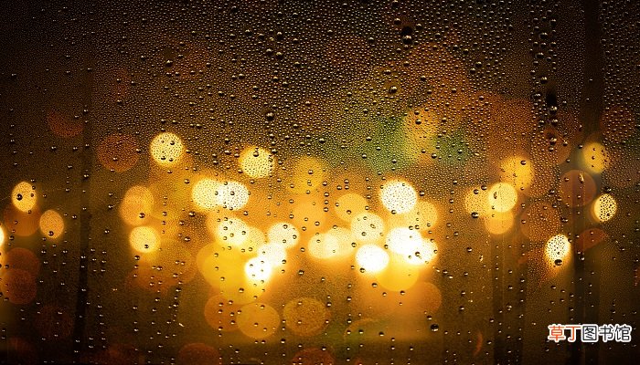 梦到下雨是什么意思