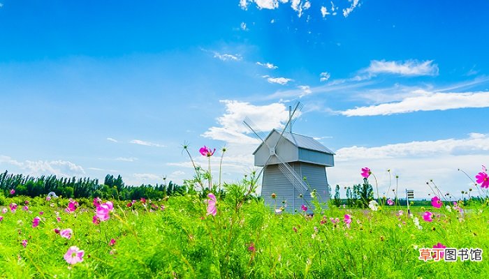 梦见花草是什么意思呢