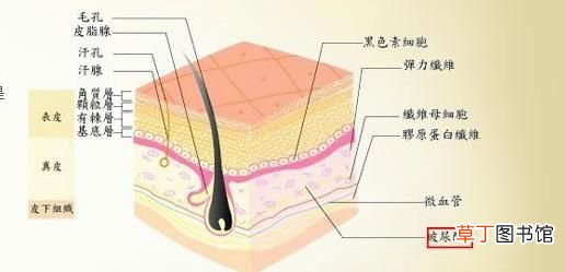 12个快速祛痘小偏方 去痘痘偏方