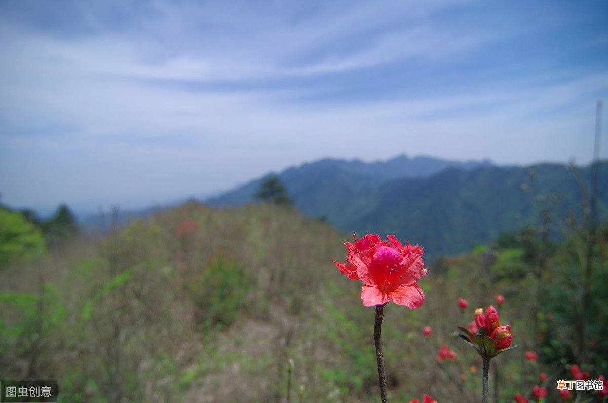 12个快速祛痘小偏方 去痘痘偏方