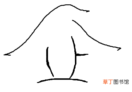 企鹅为什么叫企鹅？ 什么是企鹅