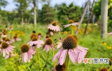 小米mix4和小米11ultra拍照功能详细评测 小米mix4和小米11ultra哪款拍照好