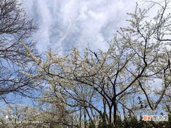 小米mix4和小米11ultra拍照功能详细评测 小米mix4和小米11ultra哪款拍照好