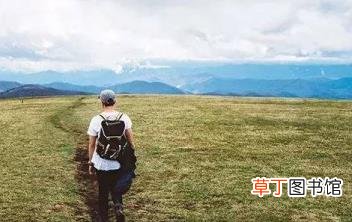 没事猫就过来叫 猫为什么喵喵叫
