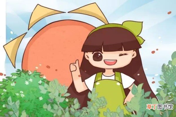 盆里的杂草全拔光，却被老花农训斥，原因竟是...