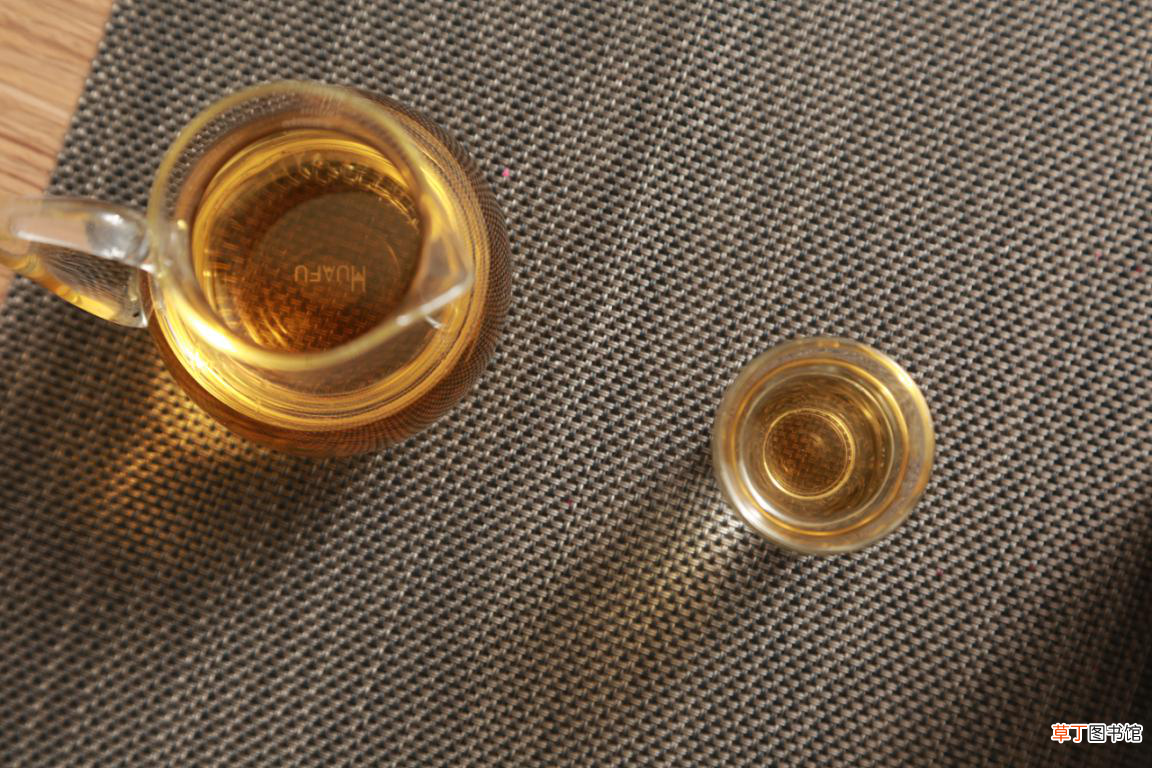 侧柏叶泡酒的方法 侧柏叶泡酒比例