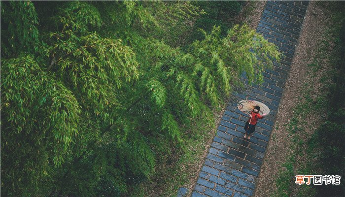 梦见下大雨是什么预兆