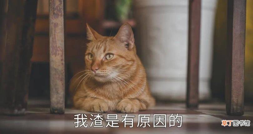 培训对员工个人的好处 为什么要培训员工