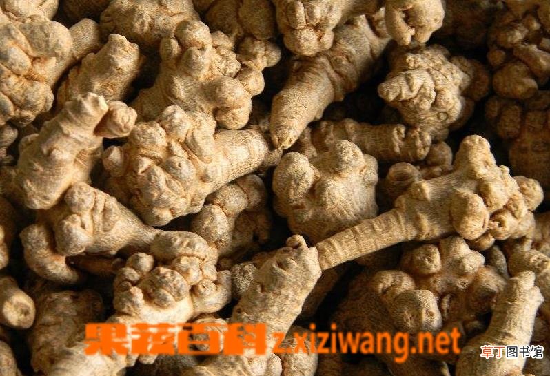 三七粉的副作用 三七粉有哪些副作用
