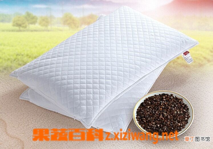 荞麦皮枕头的作用与选购要点