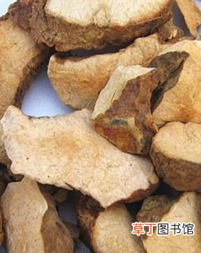 土茯苓的功效与作用 土茯苓的功效与作用及食用方法