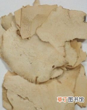 土茯苓的功效与作用 土茯苓的功效与作用及食用方法