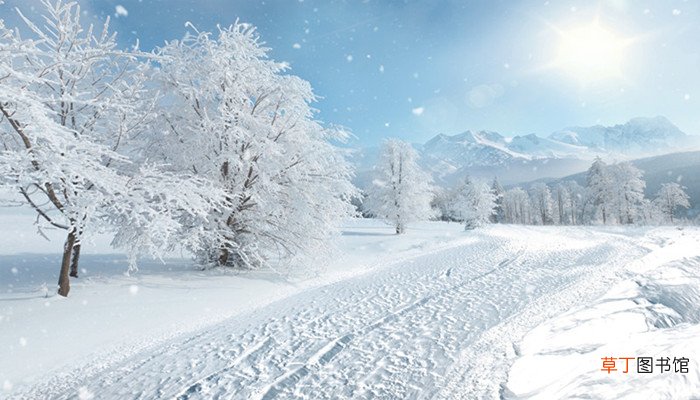 梦见下雪了是什么预兆