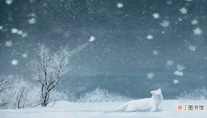 梦见大片大片的雪花落下