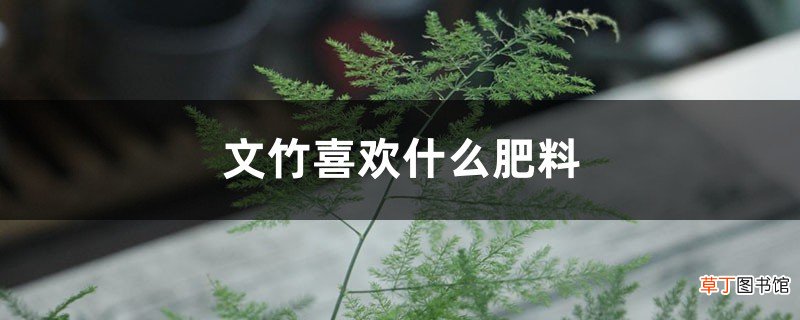 自制 文竹喜欢什么肥料，能用什么有机肥