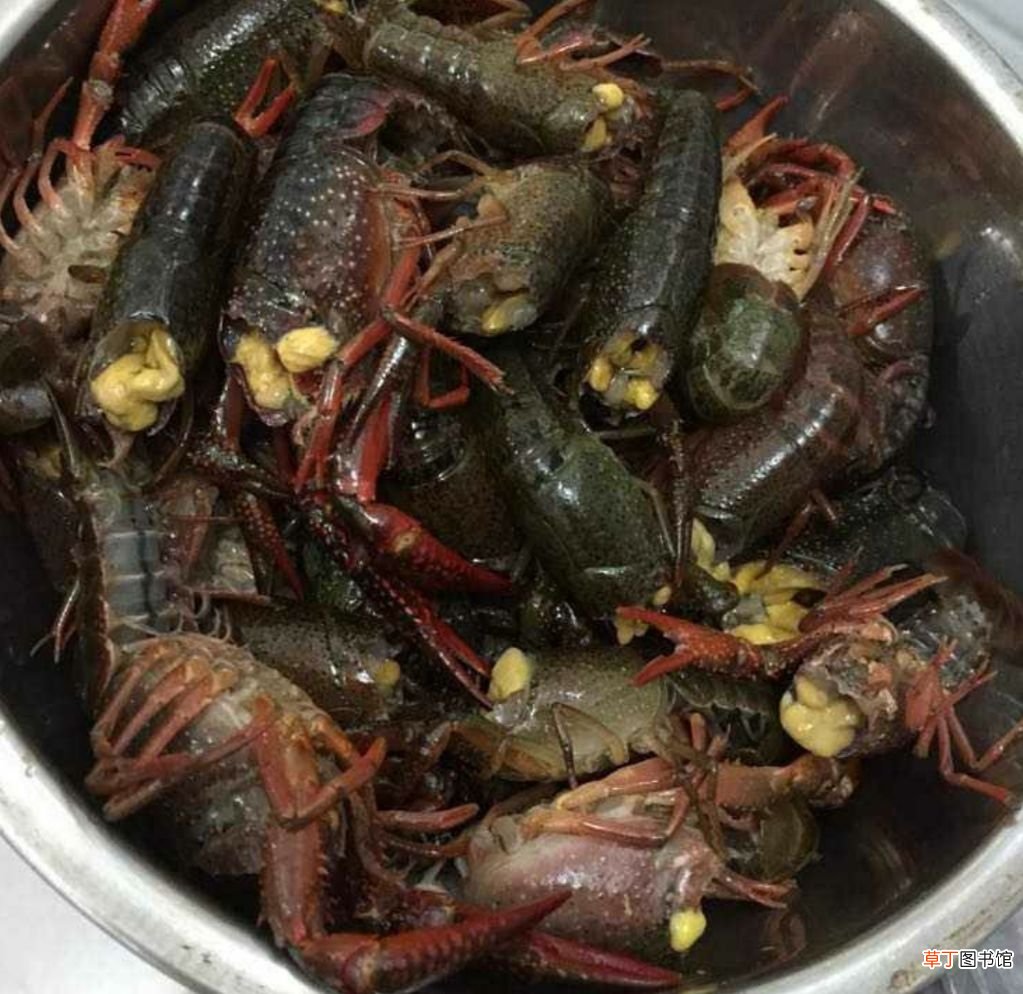 湖南特色菜——口味虾 口味虾是什么地方的菜