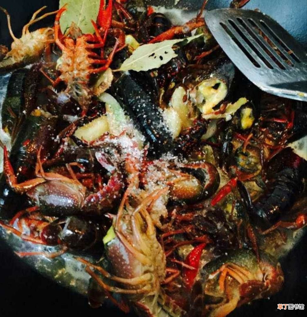 湖南特色菜——口味虾 口味虾是什么地方的菜