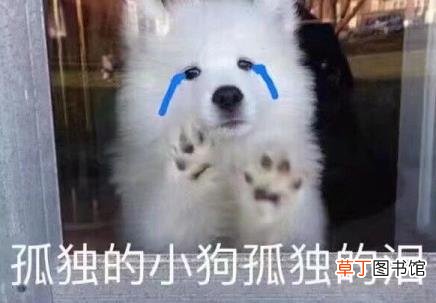 抑郁突然发作症状 为什么得抑郁症