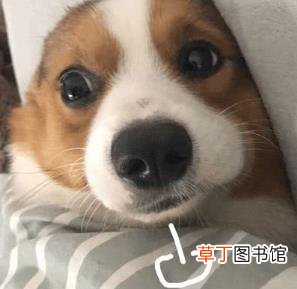 说说老公晚上是怎么折腾你的 为什么男生喜欢女生叫老公