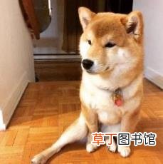 什么病会引起嗓子疼总也不好 为什么会喉咙疼