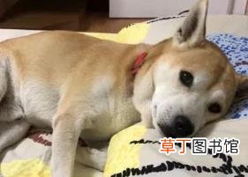 什么病会引起嗓子疼总也不好 为什么会喉咙疼