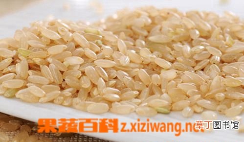 糙米的营养价值 糙米吃法